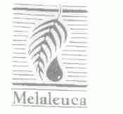 MELALEUCA