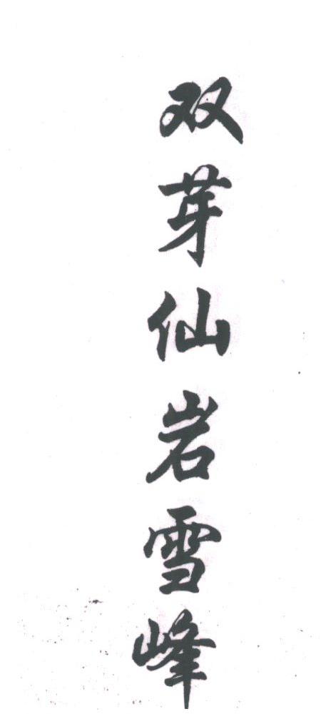双芽仙岩雪峰