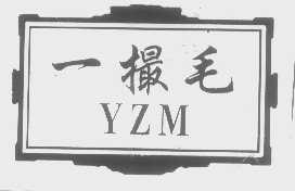 一撮毛   YZM