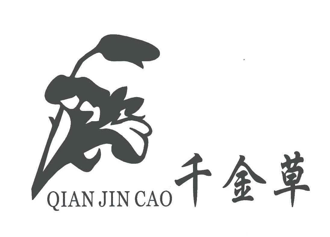 千金草