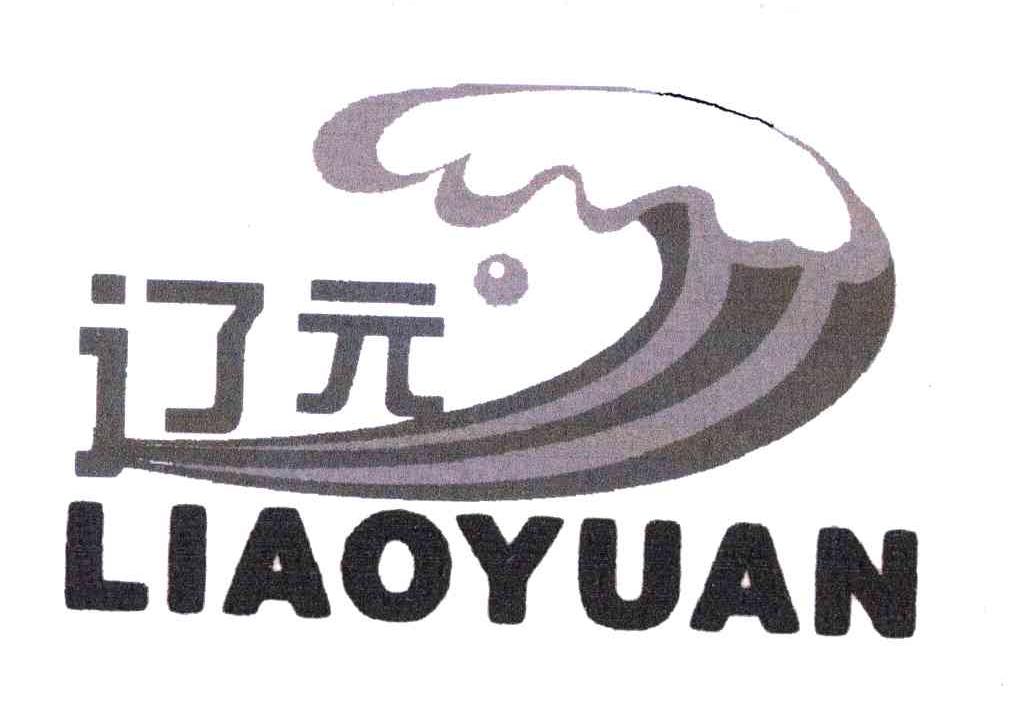 辽元