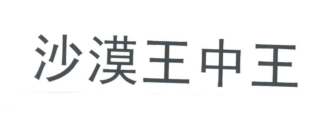 沙漠王中王