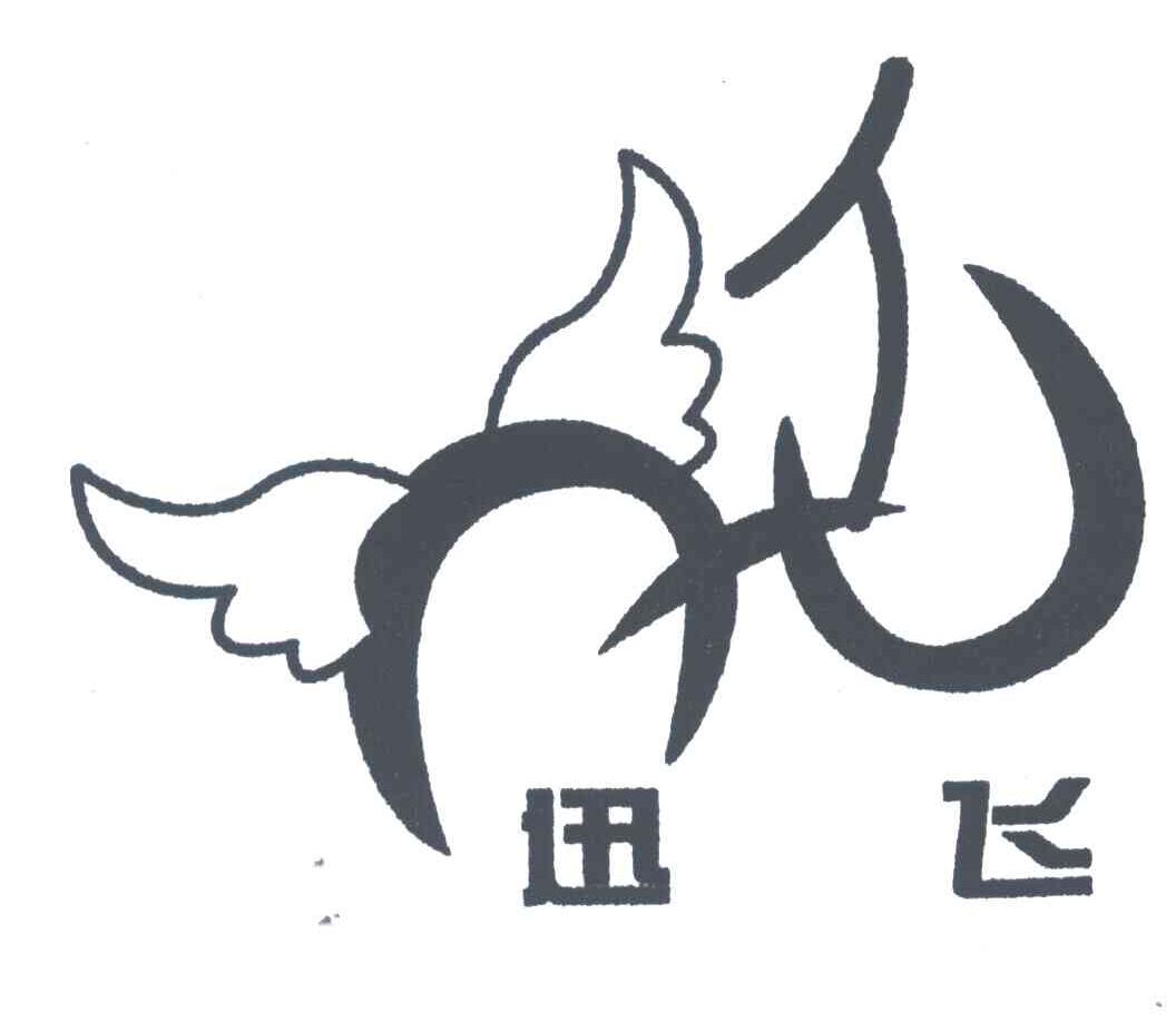 迅飞