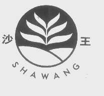 沙王