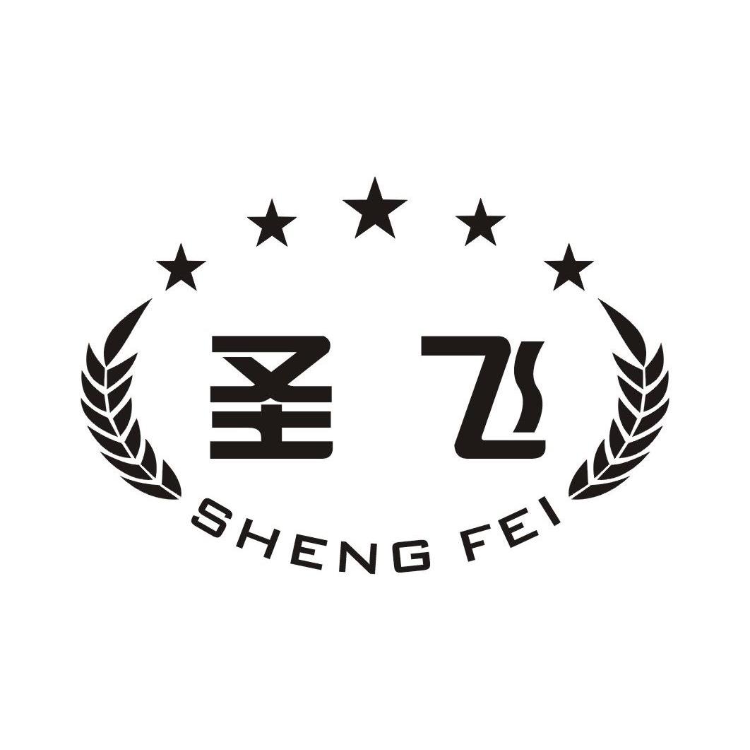 圣飞