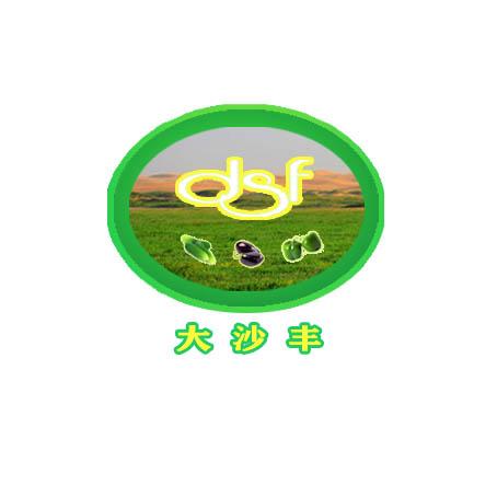 大沙丰 DSF