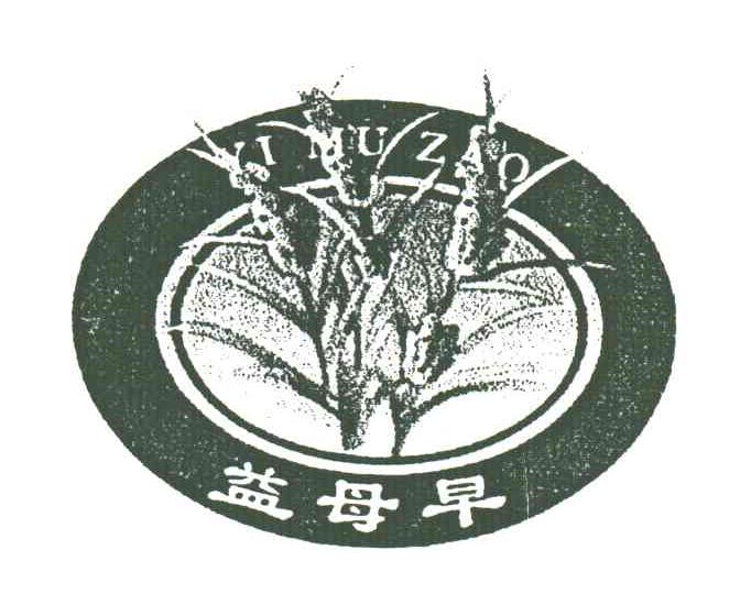 益母早