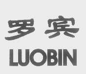 罗宾
