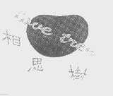 相思树   LOVE TREE