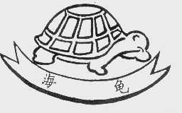 海龟
