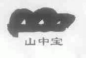 山中宝