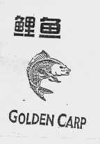 鲤鱼   GOLDEN CARP