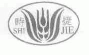 时捷