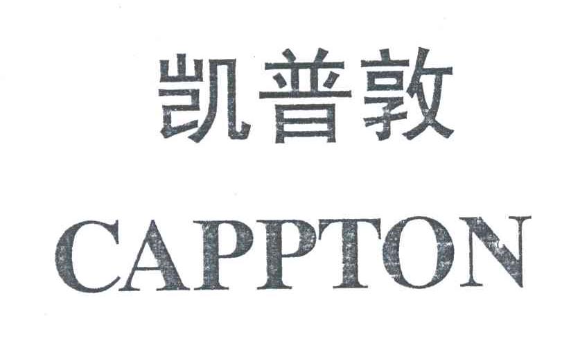凯普敦CAPPTON