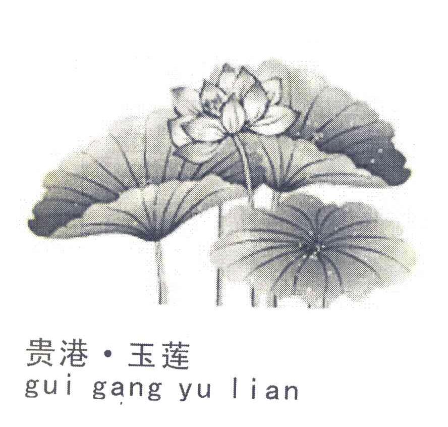 贵港&middot;玉莲