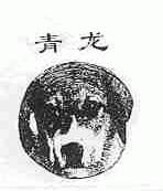 青龙