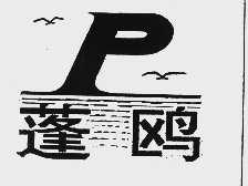 蓬鸥