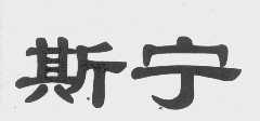 斯宁