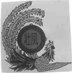 壮凤