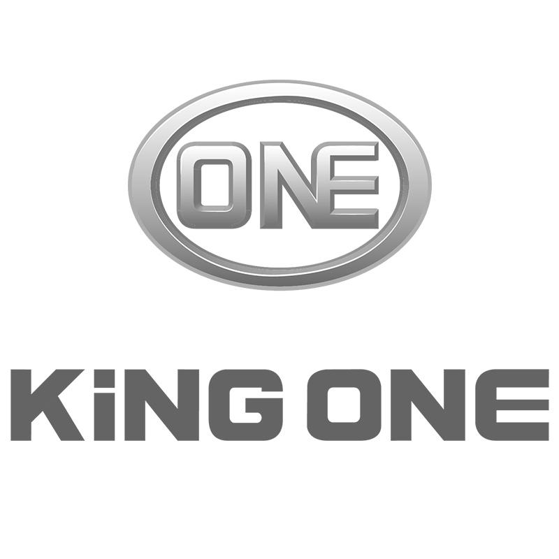 ONE KING ONE