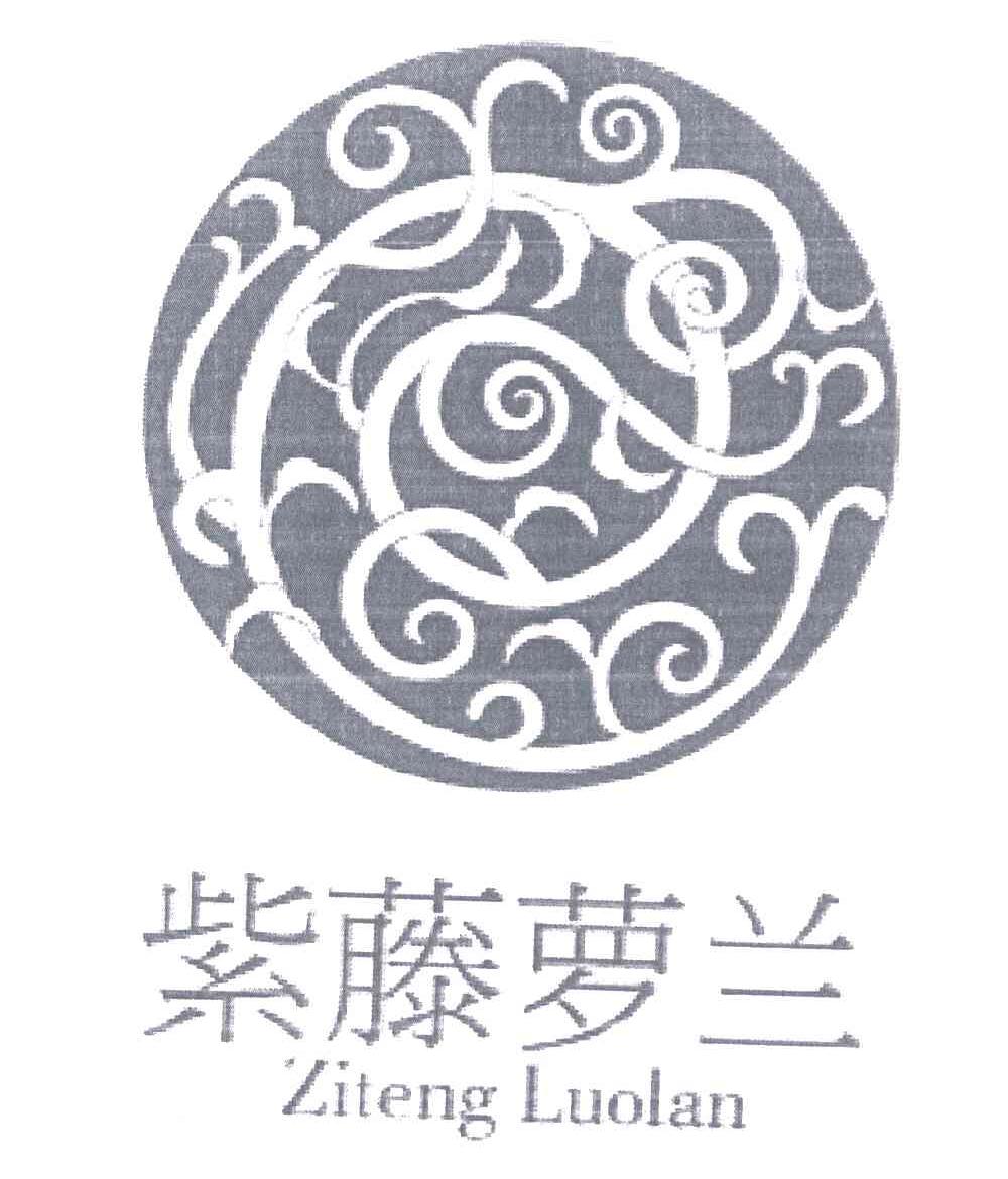 紫藤萝兰