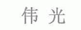 伟光