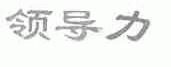 领导力