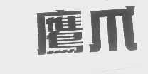 鹰爪