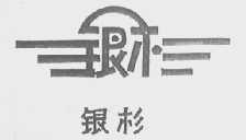 银杉