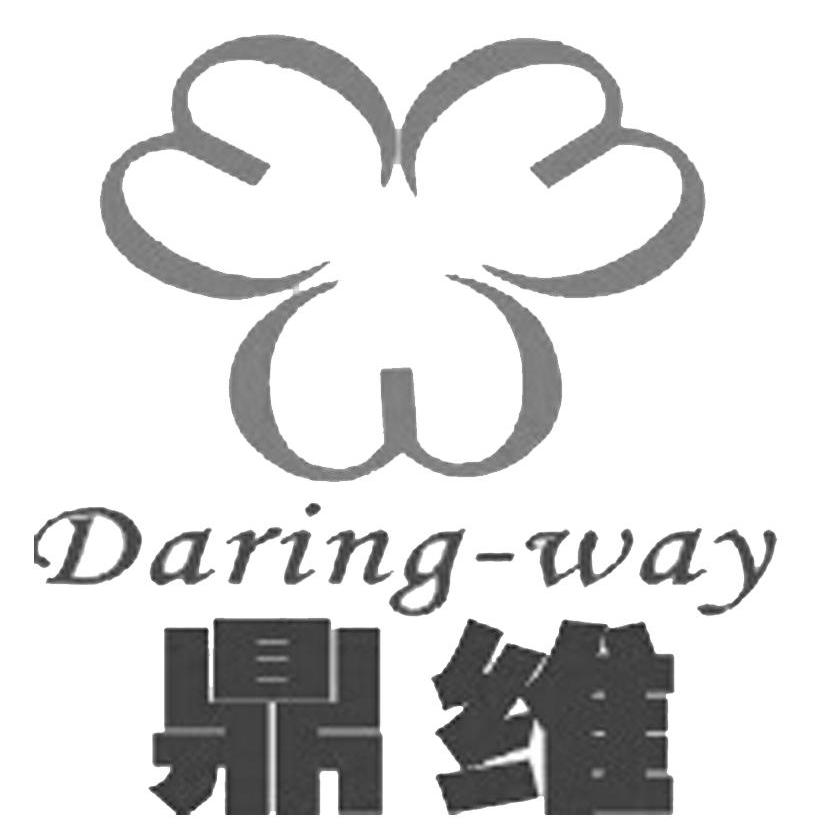鼎维 DARING-WAY