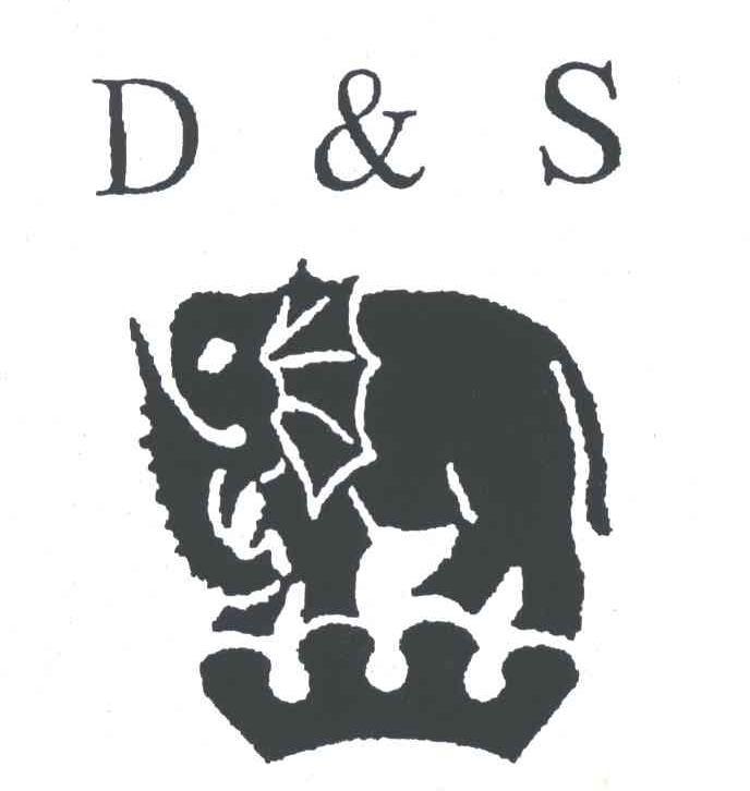 D&S及图形