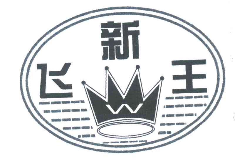 飞新王