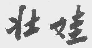 壮娃