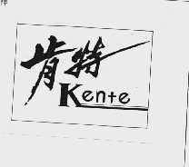 肯特