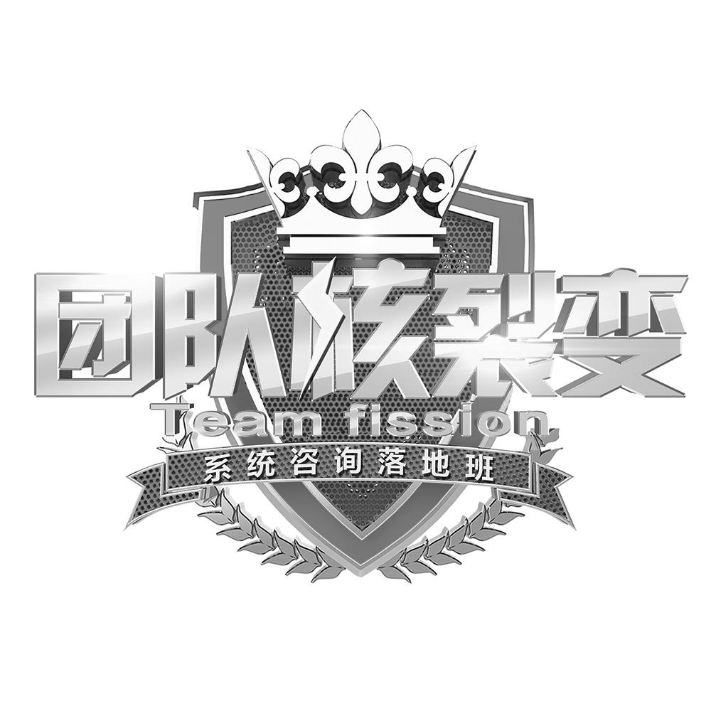 团队核裂变 系统咨询落地班 TEAM FISSION