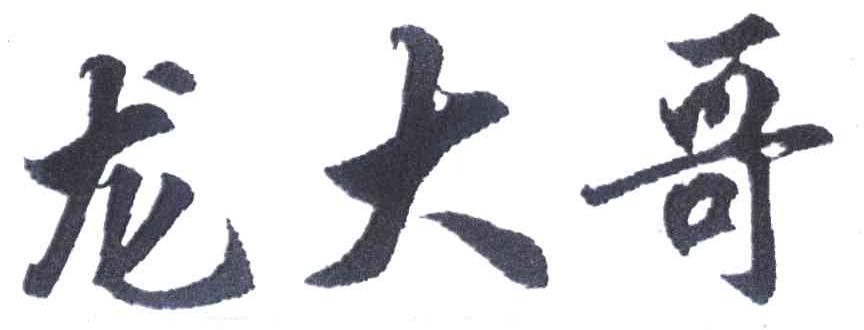 龙大哥
