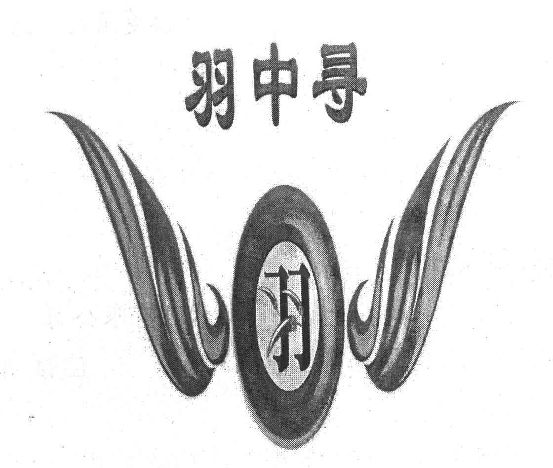 羽中寻 羽