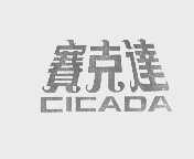 赛克达   CICADA