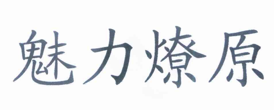 魅力燎原