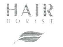 HAIR BORIST