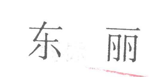 东丽