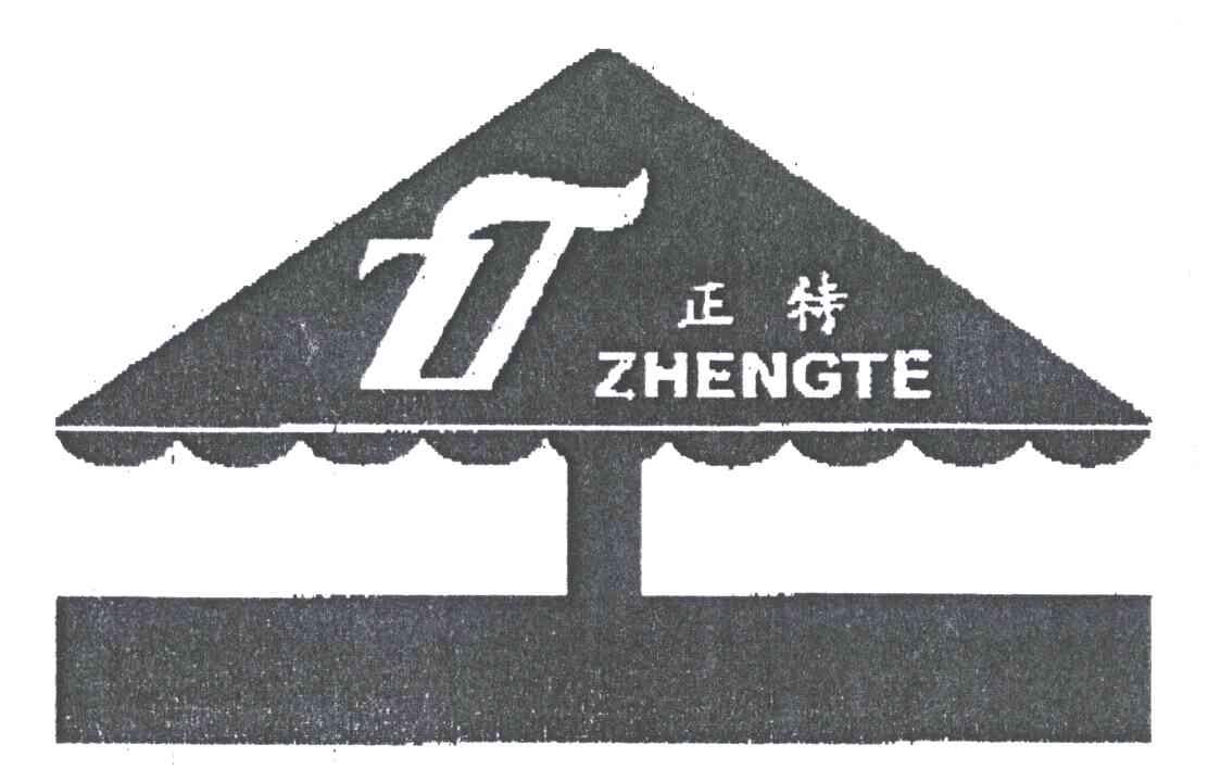 正特