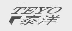 泰洋   TEYO