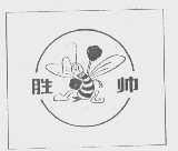 胜帅