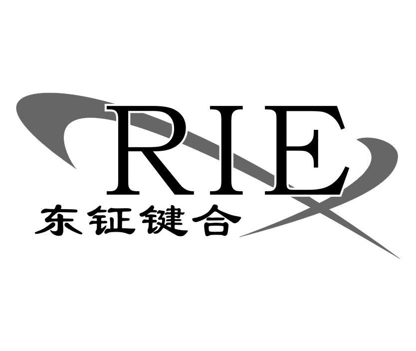 东钲键合 RIE