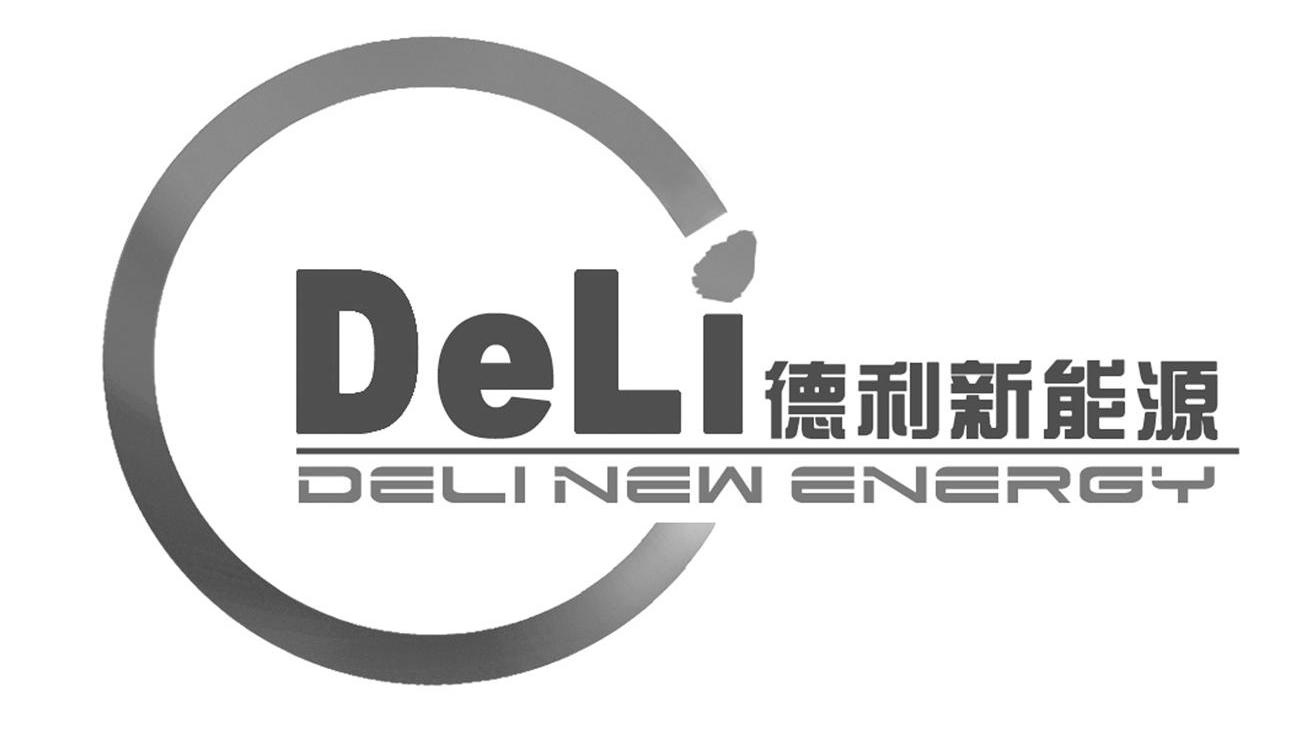德利新能源 DELI DELI NEW ENERGY C