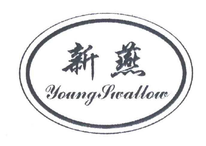 新燕;YOUNG SWALLOW