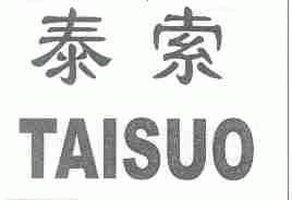泰索