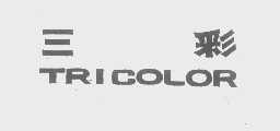三彩   TRICOLOR