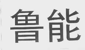 鲁能